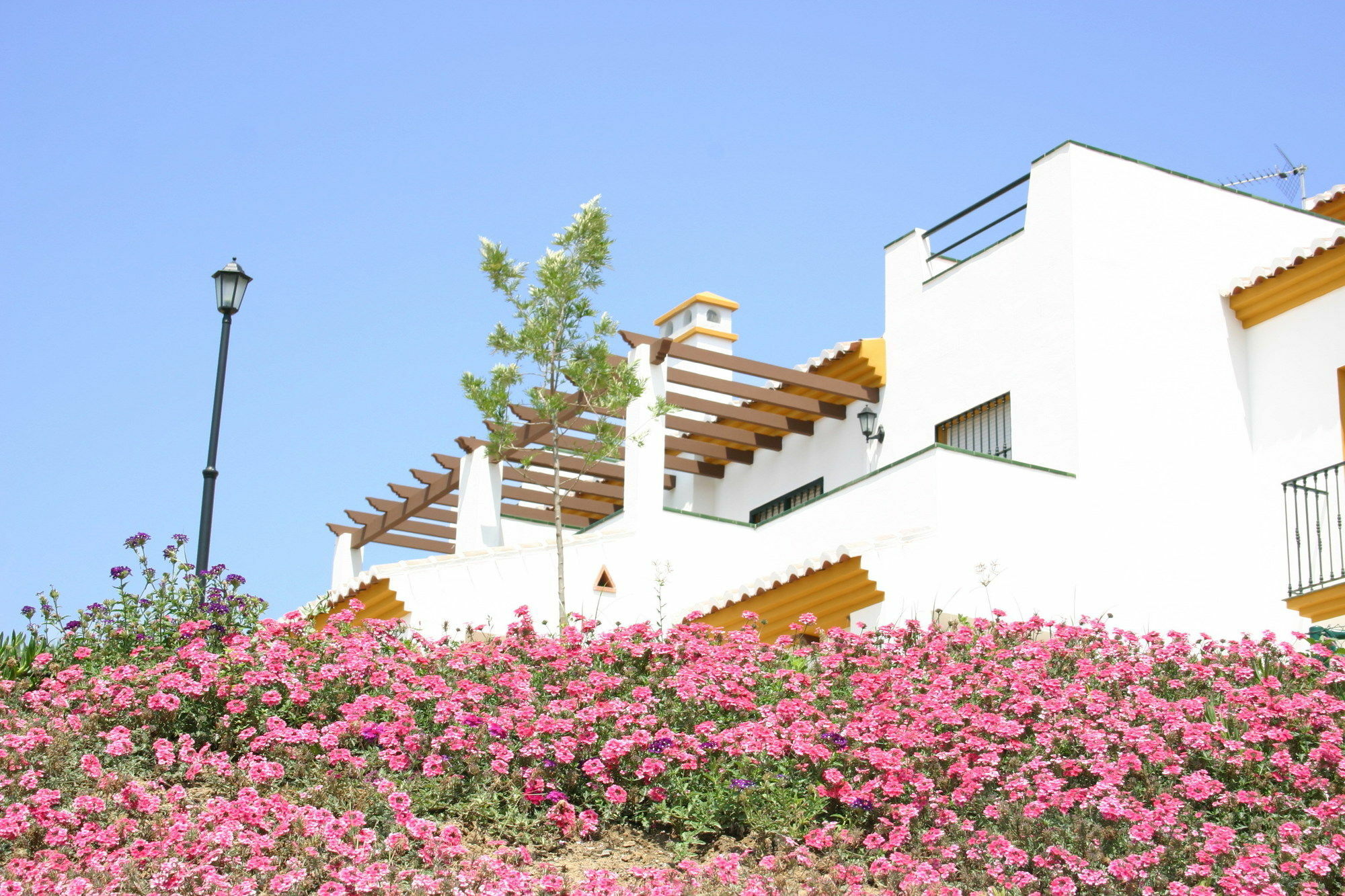Castillo De Zalia Conjunto Rural Alcaucín Extérieur photo